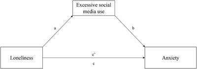 Facing Loneliness and Anxiety During the COVID-19 Isolation: The Role of Excessive Social Media Use in a Sample of Italian Adults